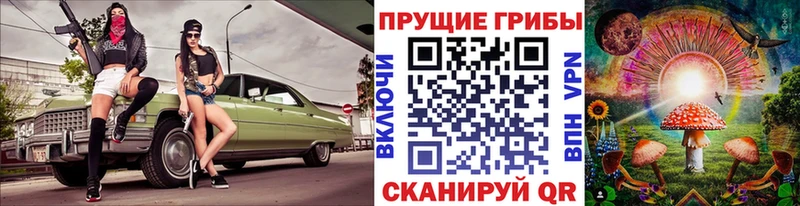 Псилоцибиновые грибы Psilocybine cubensis  где купить наркоту  Курлово 