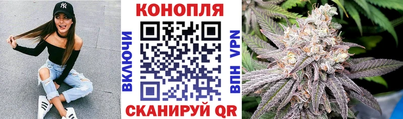 MEGA ссылки  Курлово  Канабис план 